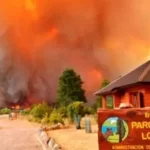 f608x342-154796_184519_0