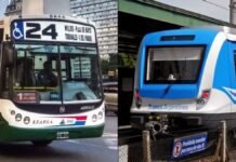 ¿Cómo impacta el paro en el transporte? Los servicios que no funcionarán