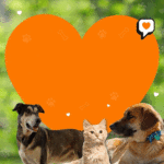 adopcion responsable 500×500