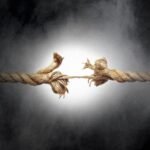 WhatsApp Image 2024-11-15 at 10.29.55