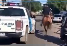 Bernal: Fueron detenidos dos adolescentes que robaban a caballo