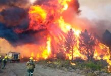 Tapas de los diarios del 27 de enero