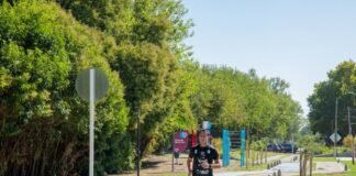 Parque Central Las Colonias: avanzan las obras de la nueva senda aérobica