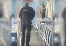 Caos en el Tren Roca: demoras y cancelaciones por un grave incidente en Temperley