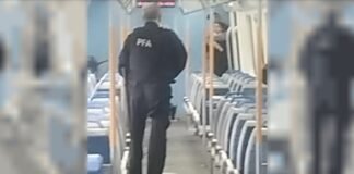 Caos en el Tren Roca: demoras y cancelaciones por un grave incidente en Temperley