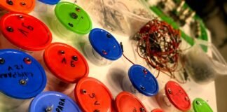 Taller Pedagógico “Linterna Mágica” para chicos de 8 a 12 años en el Centro Interactivo de Ciencia y Tecnología de la UNLa