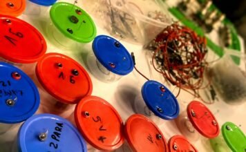 Taller Pedagógico “Linterna Mágica” para chicos de 8 a 12 años en el Centro Interactivo de Ciencia y Tecnología de la UNLa