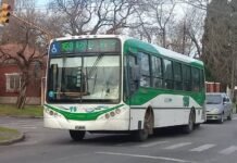 Viernes complicado: Paran ocho líneas de colectivos del sur del Conurbano