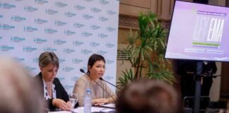 Ley Ema: la iniciativa que presentó Mayra Mendoza para prevenir la violencia digital