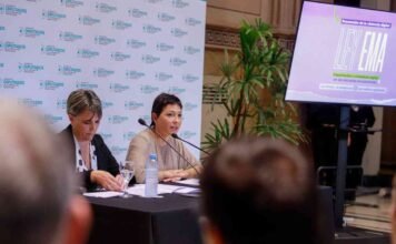 Ley Ema: la iniciativa que presentó Mayra Mendoza para prevenir la violencia digital