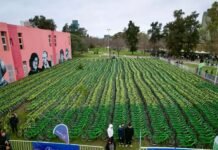 Avellaneda: Entregaron 4.500 bicicletas a estudiantes del distrito