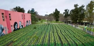 Avellaneda: Entregaron 4.500 bicicletas a estudiantes del distrito